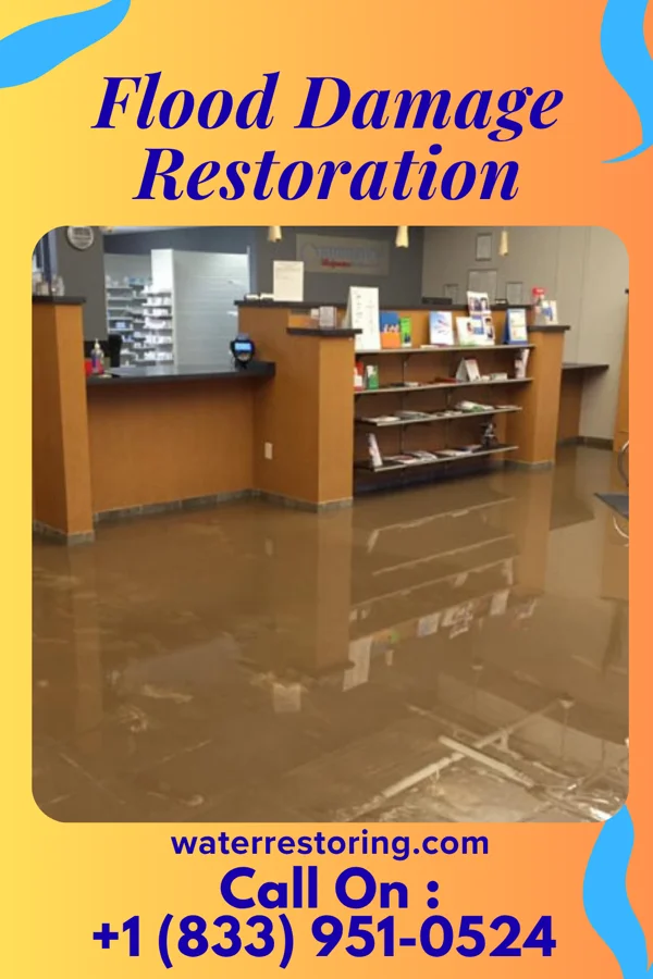 Flood Damage Restoration in South Patrick Shores, FL